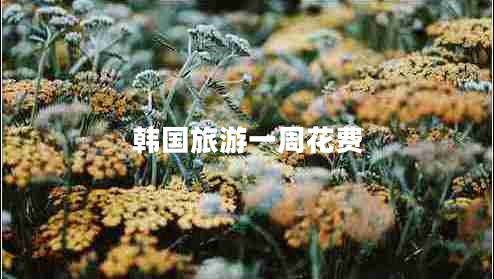 韩国旅游一周花费