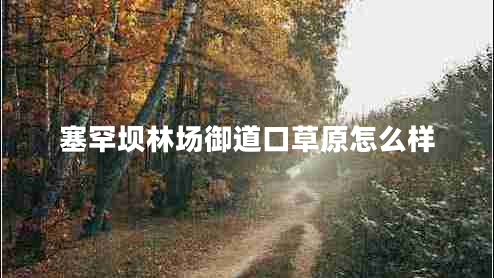 塞罕坝林场御道口草原怎么样