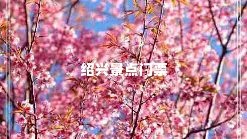 绍兴景点门票