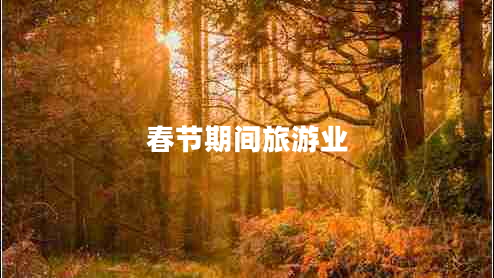 春节期间旅游业