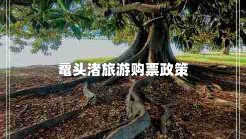 鼋头渚旅游购票政策