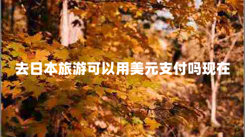 去日本旅游可以用美元支付吗现在