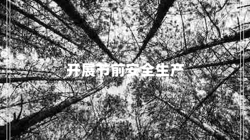 开展节前安全生产 开展节前安全生产