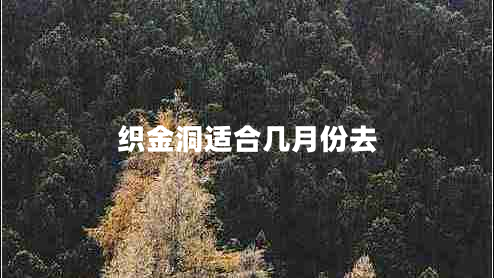 织金洞适合几月份去