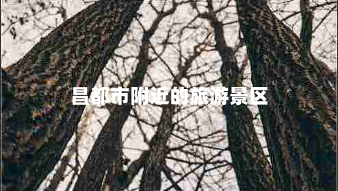 昌都市附近的旅游景区