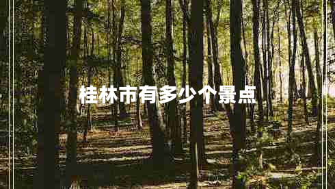 桂林市有多少个景点