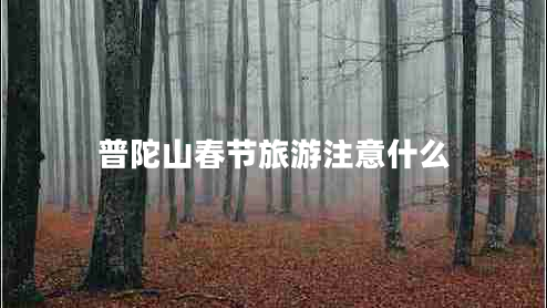 普陀山春节旅游注意什么