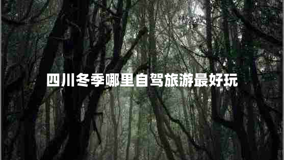 四川冬季哪里自驾旅游最好玩