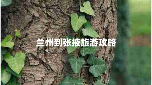 兰州到张掖旅游攻略