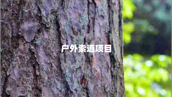 户外索道项目