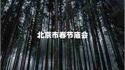 北京市春节庙会