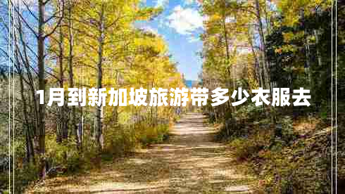1月到新加坡旅游带多少衣服去
