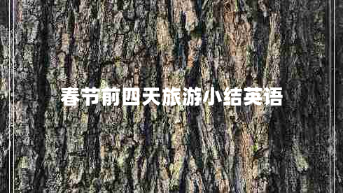 春节前四天旅游小结英语 春节前四天旅游小结英语