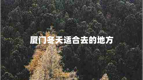 厦门冬天适合去的地方