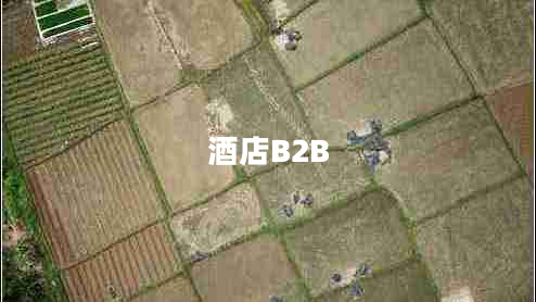 酒店B2B