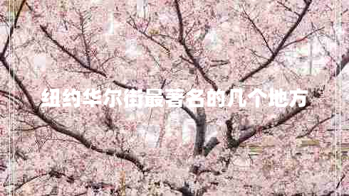纽约华尔街最著名的几个地方