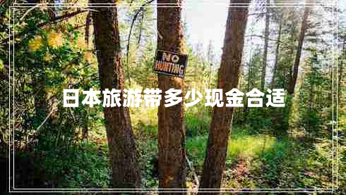 日本旅游带多少现金合适