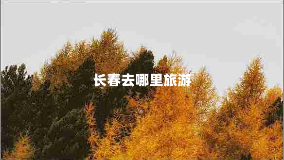 长春去哪里旅游