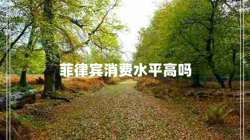 菲律宾消费水平高吗