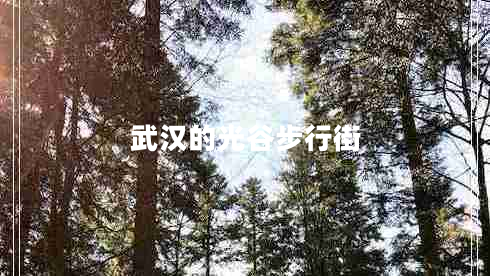 武汉的光谷步行街