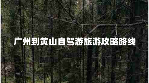 广州到黄山自驾游旅游攻略路线