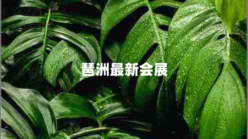 琶洲最新会展 琶洲最新会展