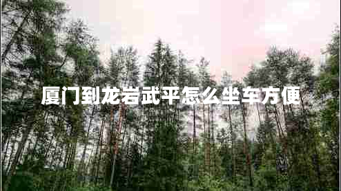 厦门到龙岩武平怎么坐车方便