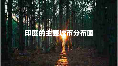 印度的主要城市分布图 印度的主要城市分布图