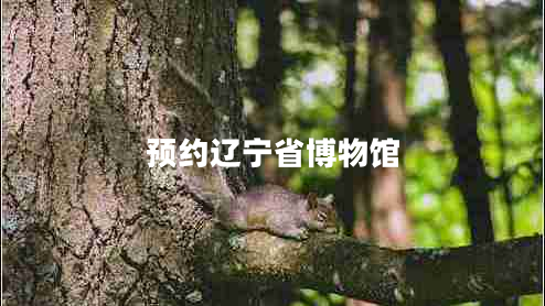 预约辽宁省博物馆