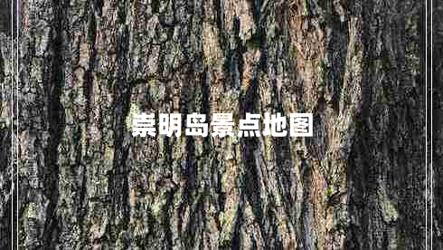 崇明岛景点地图