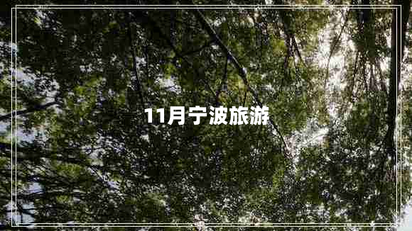 11月宁波旅游