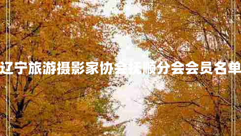 辽宁旅游摄影家协会抚顺分会会员名单
