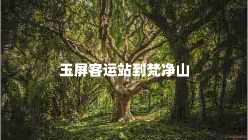 玉屏客运站到梵净山 玉屏客运站到梵净山