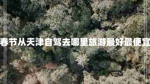 春节从天津自驾去哪里旅游最好最便宜