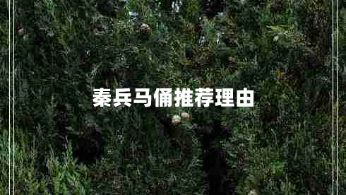 秦兵马俑推荐理由
