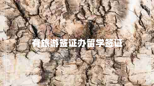 有旅游签证办留学签证