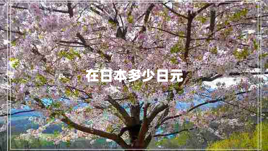 在日本多少日元 在日本多少日元