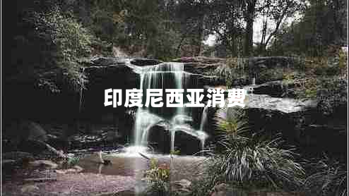 印度尼西亚消费