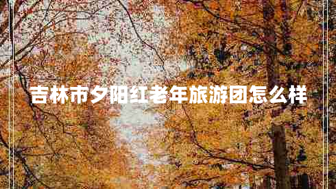 吉林市夕阳红老年旅游团怎么样