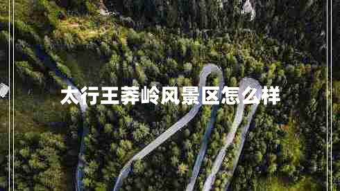 太行王莽岭风景区怎么样
