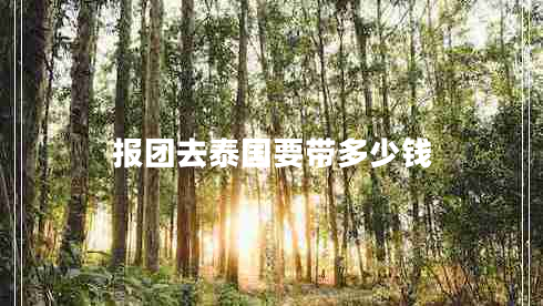 报团去泰国要带多少钱