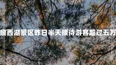 据统计瘦西湖景区昨日半天接待游客超过五万人左右