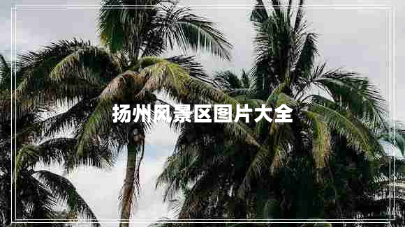 扬州风景区图片大全