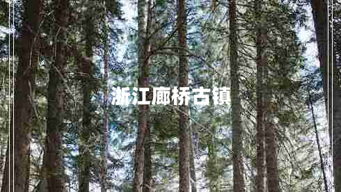 浙江廊桥古镇