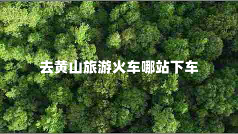 去黄山旅游火车哪站下车
