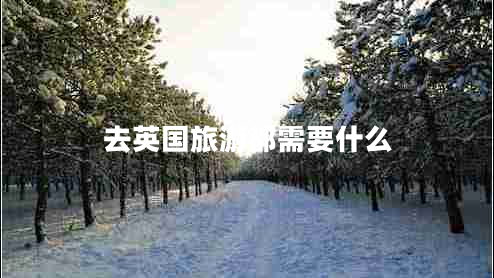 去英国旅游都需要什么 去英国旅游都需要什么