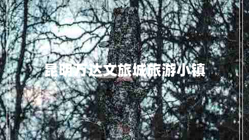 昆明万达文旅城旅游小镇 昆明万达文旅城旅游小镇