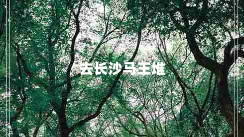 去长沙马王堆