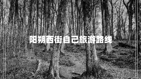阳朔西街自己旅游路线
