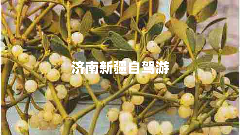 济南新疆自驾游